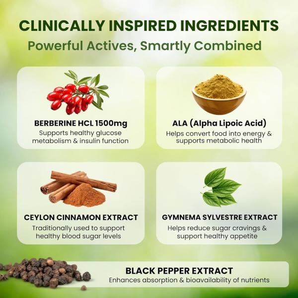Berberine 1500 mg – with ALA, Ceylon Cinnamon, Gymnema & Black Pepper 900 mg | Blood Sugar & Metabolic Support | 90 Vegan Capsules 30 Day Supply