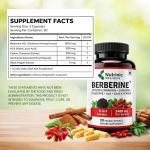 Berberine 1500 mg – with ALA, Ceylon Cinnamon, Gymnema & Black Pepper 900 mg | Blood Sugar & Metabolic Support | 90 Vegan Capsules 30 Day Supply