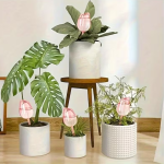 4pcs Pink Tulip Plant Watering Balls, new design slow release watering tool